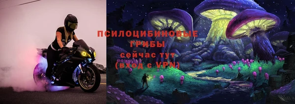 ECSTASY Гусь-Хрустальный