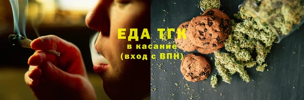 индика Гусев