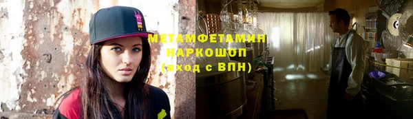 индика Гусев