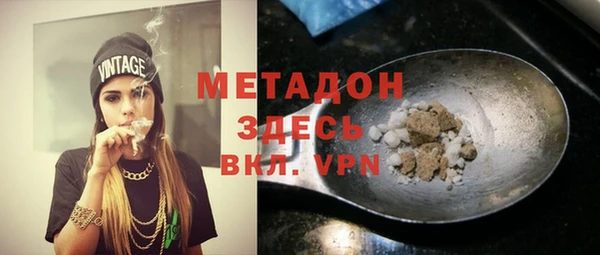 индика Гусев