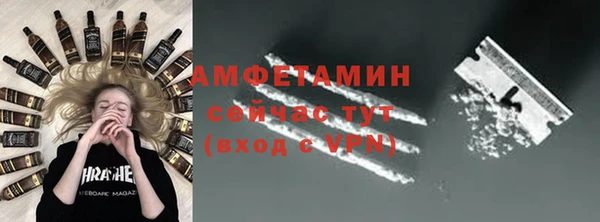 индика Гусев