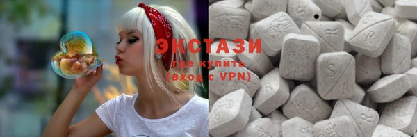 ECSTASY Гусь-Хрустальный