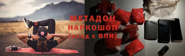 индика Гусев