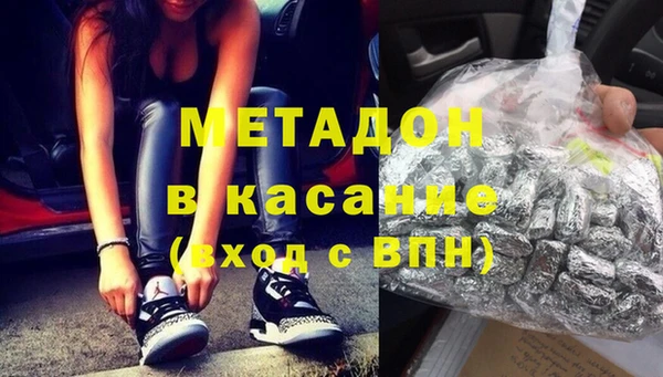 индика Гусев