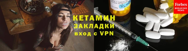 индика Гусев