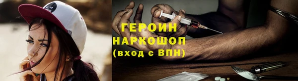 индика Гусев