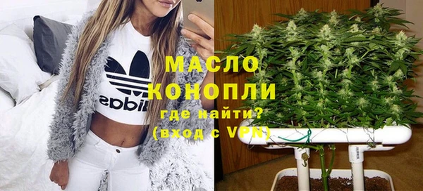 ECSTASY Гусь-Хрустальный