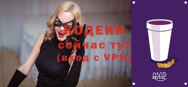 ECSTASY Гусь-Хрустальный