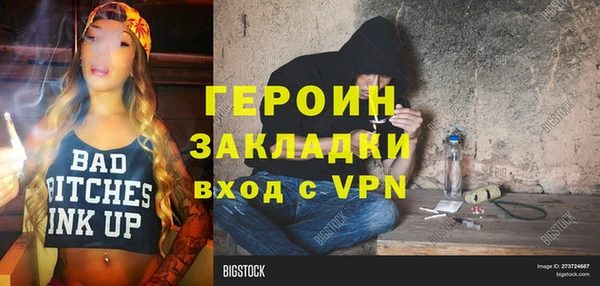 индика Гусев