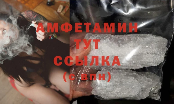 ECSTASY Гусь-Хрустальный