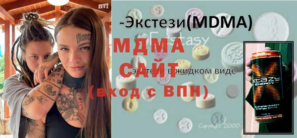 индика Гусев