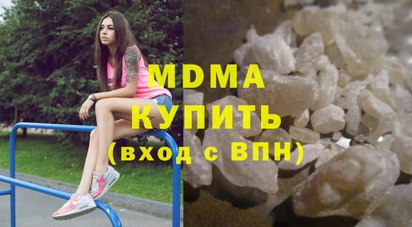 индика Гусев