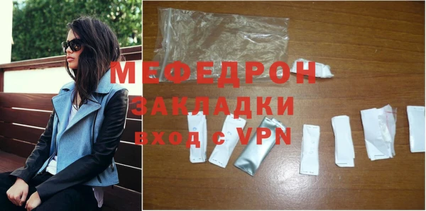 индика Гусев