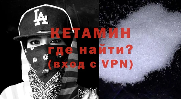 индика Гусев