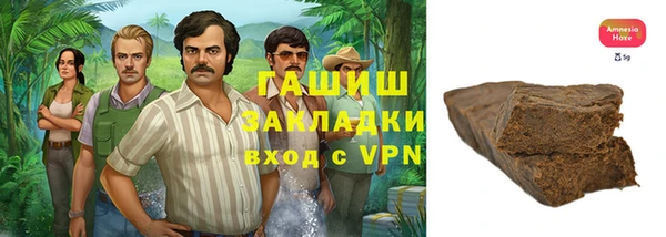 индика Гусев