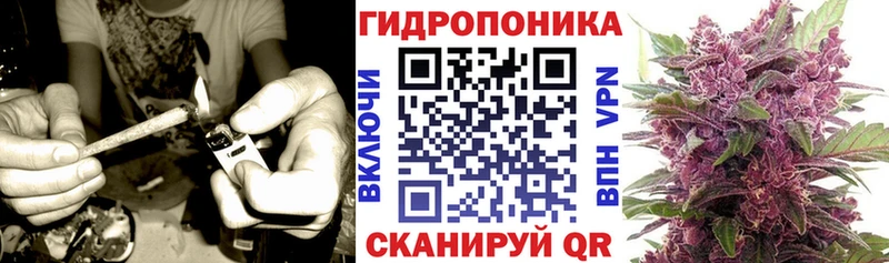 KRAKEN tor  Дятьково  Бошки марихуана планчик 